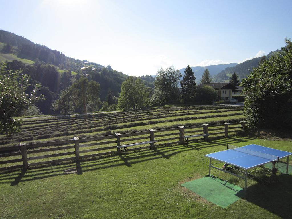 Apart-Pension Seiwald Wagrain Esterno foto